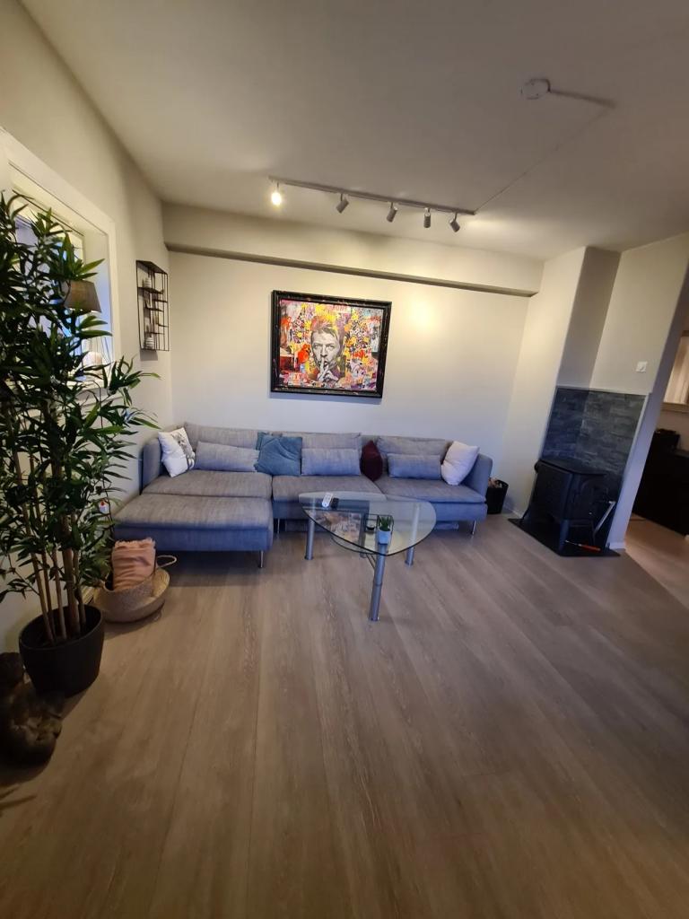 Stue (avbildet sofabord inkludert)